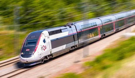 Editorial Image of Summer Study Travel Venue 2024